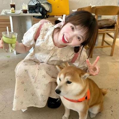 爸爸来了